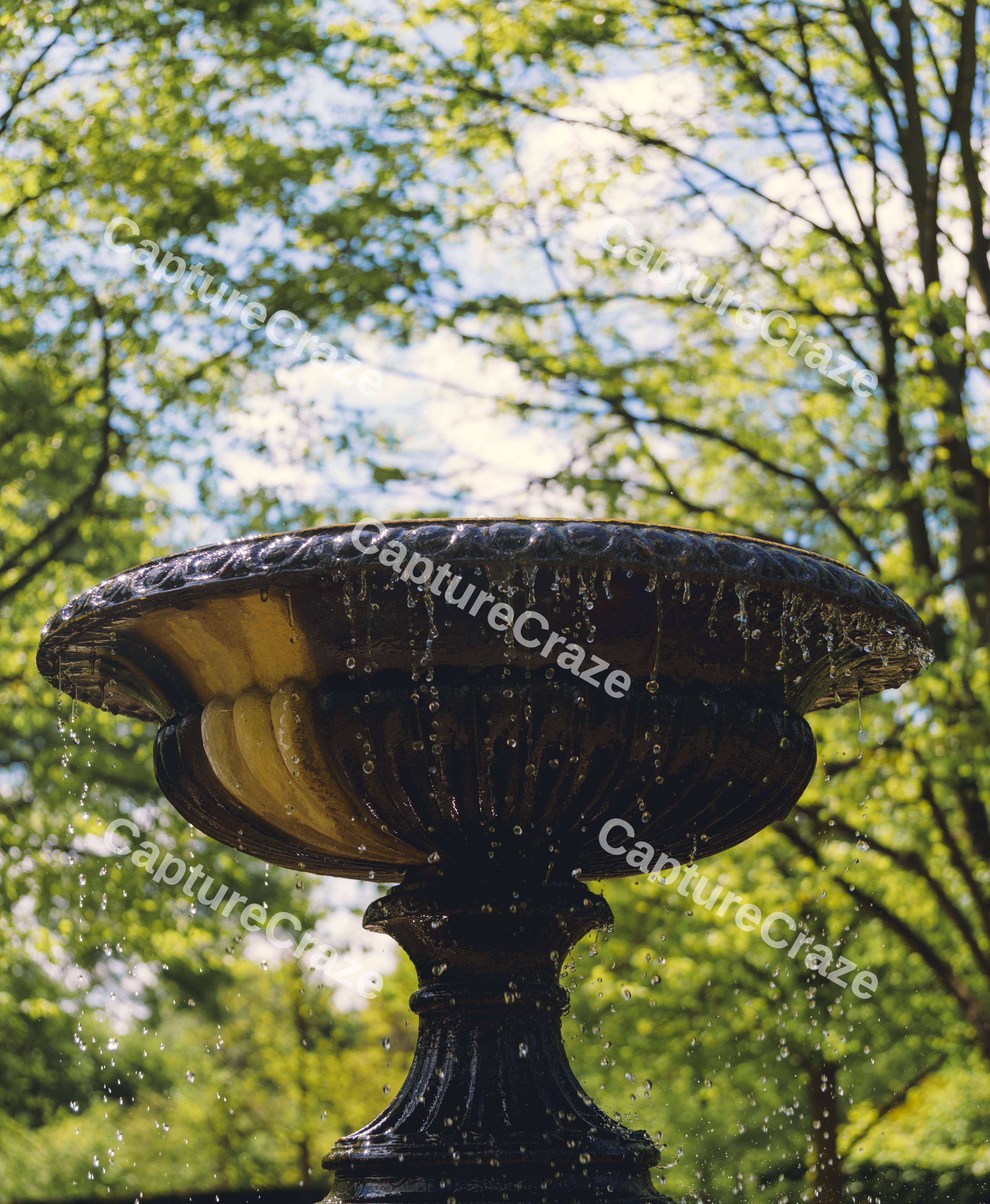 Fountain Top